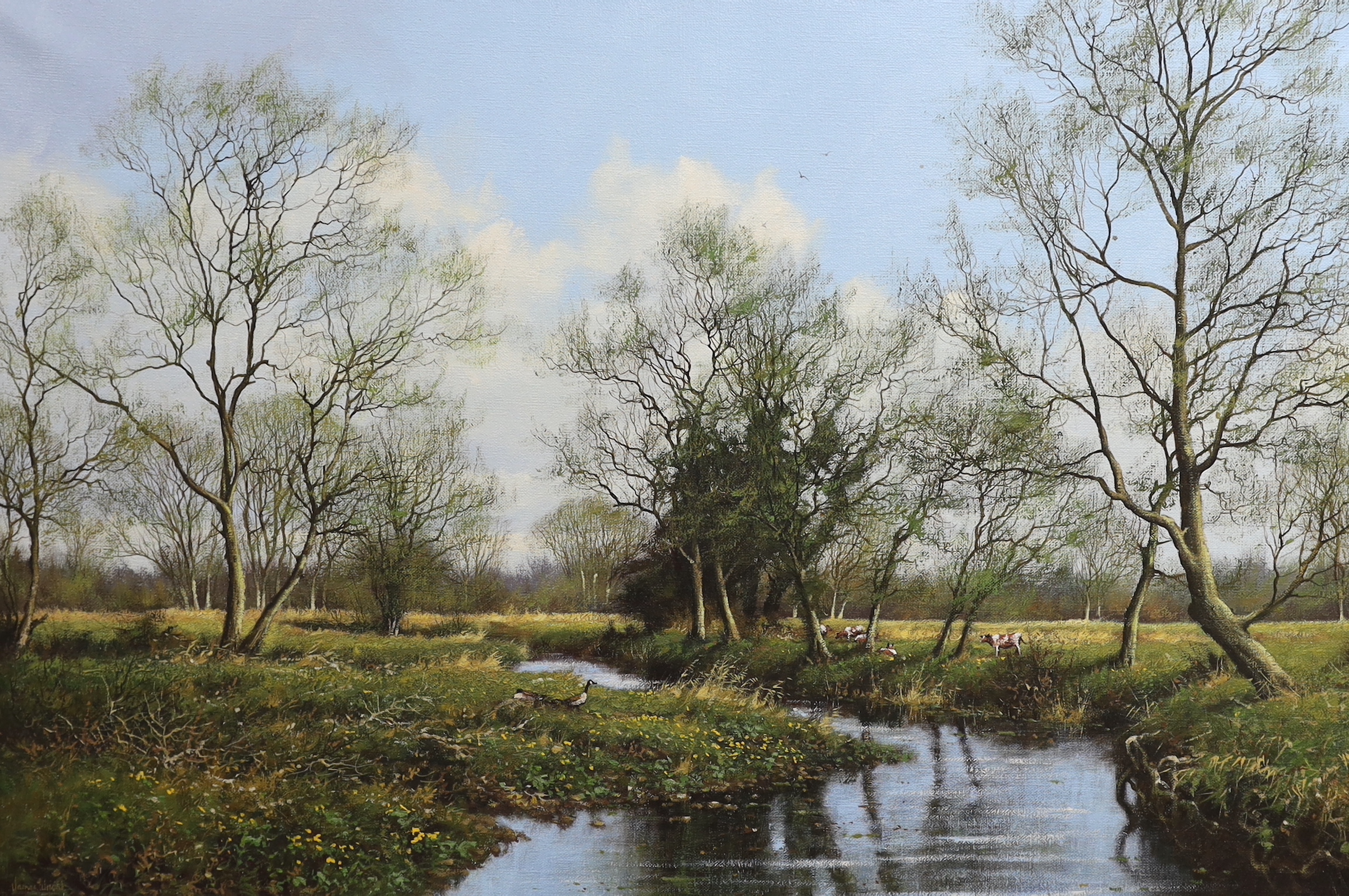 James Wright (b.1935), oil on canvas, River Tat at Cotsford neat Tattergett, signed, 50 x 76cm